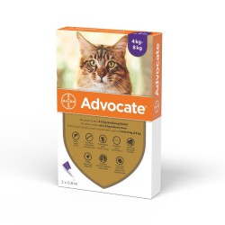 Advocate Cat