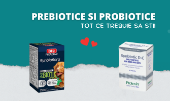 Prebiotice si Probiotice – Ce trebuie sa stii