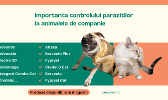 Importanta controlului parazitilor la animalele de companie