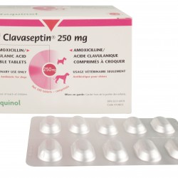 Clavaseptin 